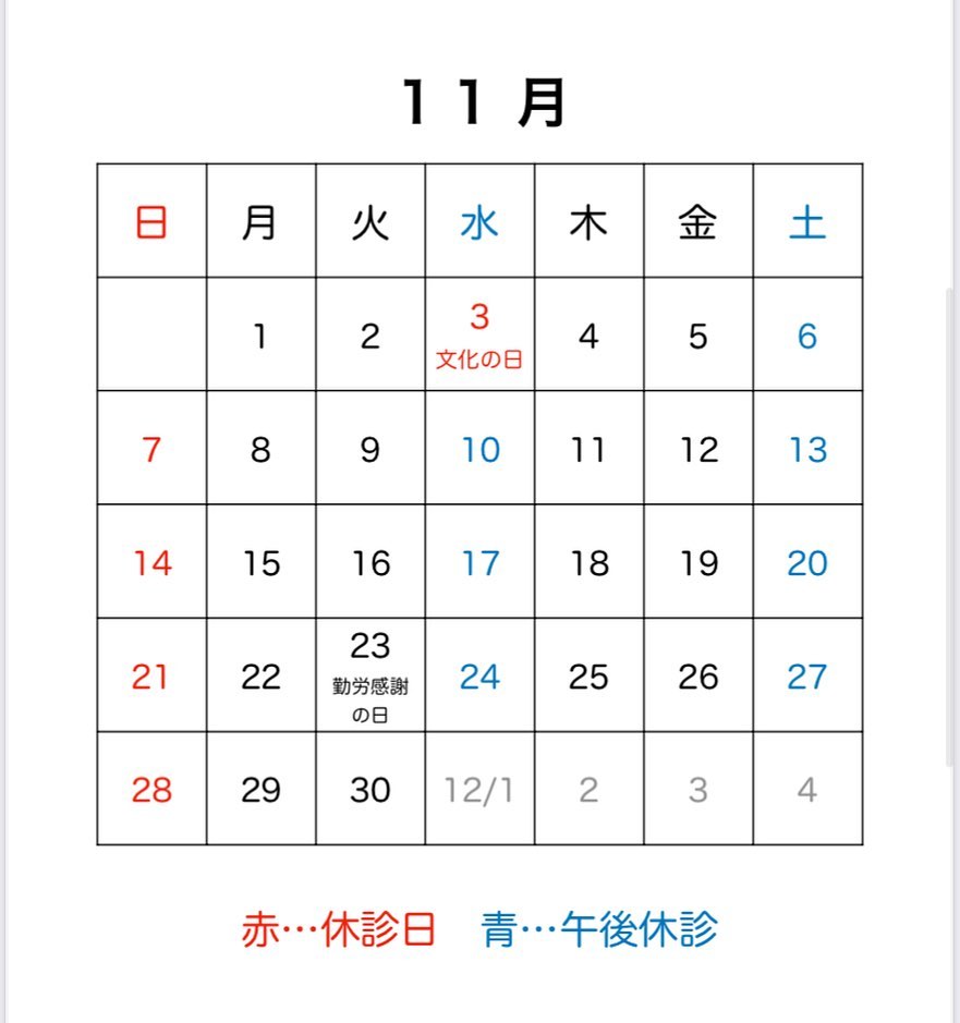 ?今月の診療日です祝日の11月23日(火)は通常通り診療します